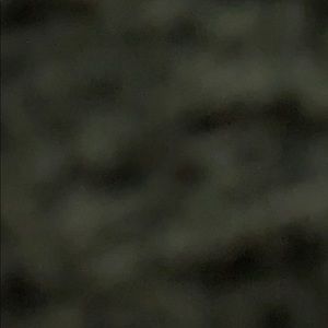 Meet your Posher, Ronaldo